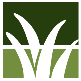 Estero Lawn Clean Up