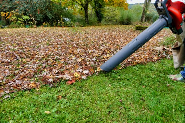 Leaf Vacuuming Service in Estero