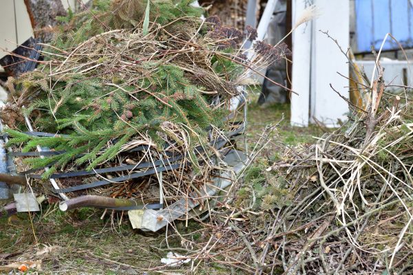 Yard Debris Removal in Estero