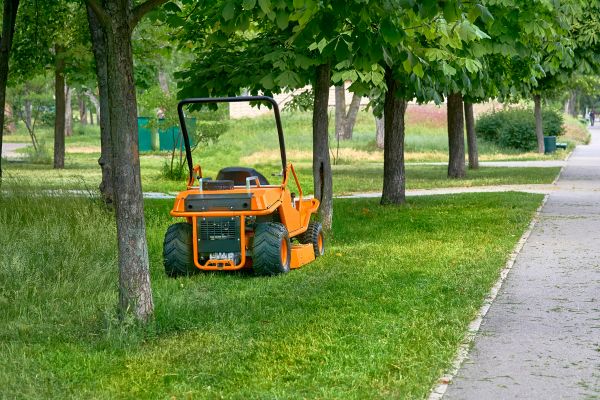 Landscaping Cleanup Service in Estero