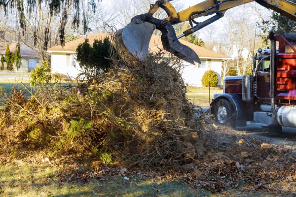 Storm Debris Removal in Estero