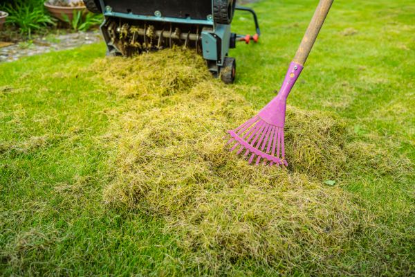 Lawn Thatching