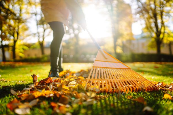 Leaves Raking in Estero