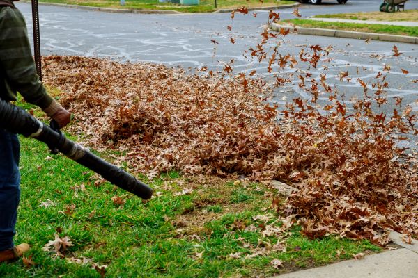 Cost of Garden Leaf Removal in Estero