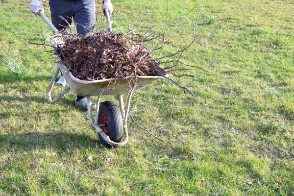 Yard Brush Removal in Estero