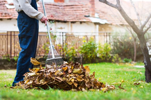 Spring Lawn Cleanup in Estero