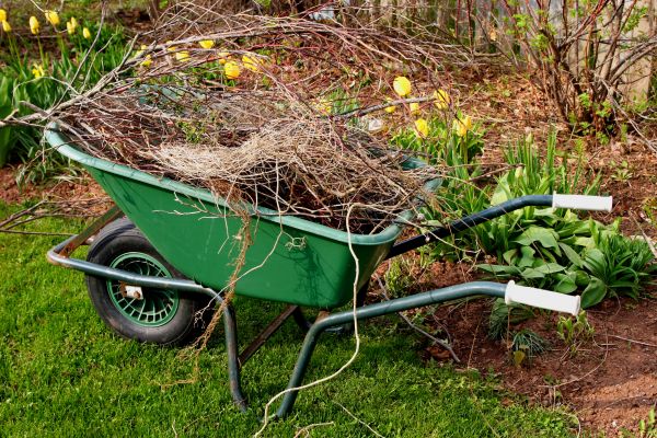 Lawn Waste Removal in Estero