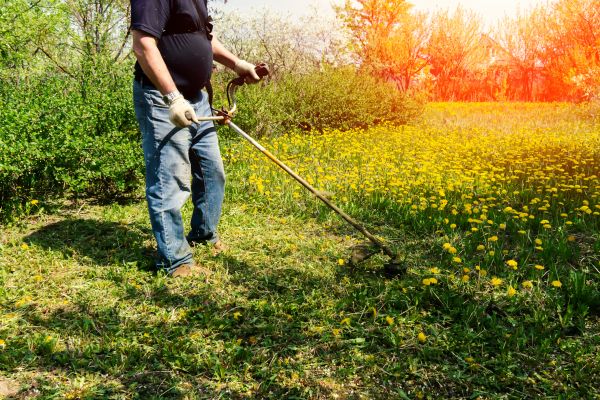 Cost of Yard Clearing Service in Estero