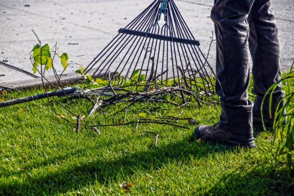 Yard Debris Cleanup in Estero