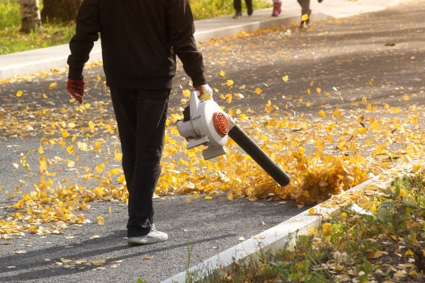 Commercial Leaf Removal in Estero